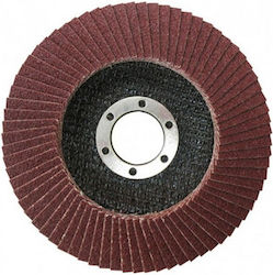 Kendo Δίσκος Λείανσης Μετάλλου 100mm
