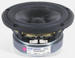 Scan Speak Elektrische Gitarren 100W RMS Autolautsprecher Scan Speak Elektrische Gitarren 100W RMS Autolautsprecher