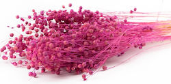 Getrocknete Pflanze Lila mit LED Selected by Pragmatic