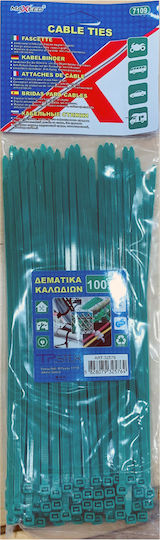 Tpster Plastic Cable Ties 250mmx4.8mm In Green Colour 100pcs 32576