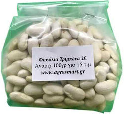 Agrosmart Seeds Beans AGR-FAS005