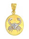 Mertzios.gr Charm Talisman Constantin Semn Zodiacal Cancer Din Aur Galben 9 Carate