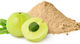 HealthTrade Bio Amla sub formă de Pulbere 500gr