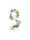 Decorative Garland Ivy