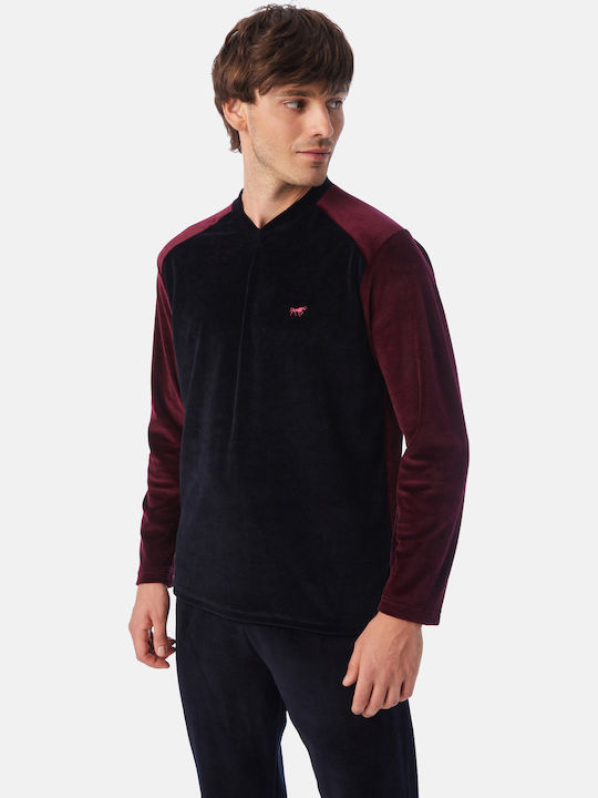 Minerva Bull Burgundy