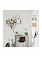 Wandsticker & Wandgemälde 1 Stück 50x58cm Houseart