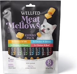 Pet Interest Snack Treats with Chicken / Salmon for Cat 80gr