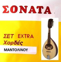 Sonata SNT-002 Einzel Mandolinsaiten
