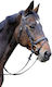 Kerbl Pferdebrille Cob 326138