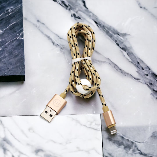 Редовна USB-A към Lightning кабел Златист 1м (2TEC24)