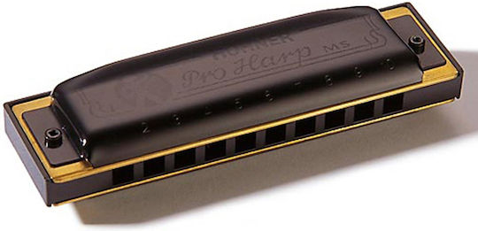 Hohner Diatonic Harmonica Proharp 562/20 Key of B (Si) Major