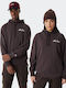 Heritage Sweatshirt with Hood Brown