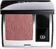 Dior Fard de obraz Limited Edition 621 Splendid...