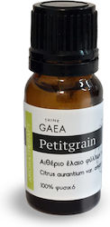 Think GAEA Αιθέριο Έλαιο Petitgrain 10ml Think GAEA Αιθέριο Έλαιο Petitgrain 10ml
