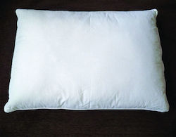 VS Home Hotelkissen 45x65cm 10Stücke VS Home Hotelkissen 45x65cm 10Stücke