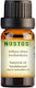 Nostos Pure Ätherisches Öl Sandelholz 100ml