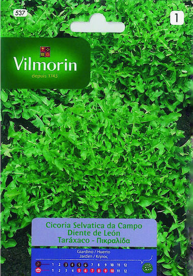Vilmorin Σπόροι Ταραξάκο 3gr