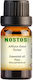 Nostos Pure Ätherisches Öl Kiefer 50ml
