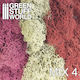 Green Stuff World Plant Mockup Scenery Moss Mix 4