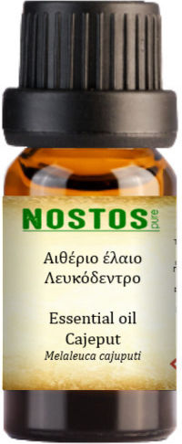Nostos Pure Етерично Масло Левкодендрон Каджепут Cajeput Различни 50мл