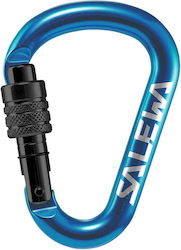 Salewa Hms Șurub G2 Carabinier 1 Bucată