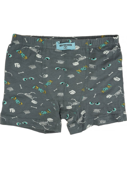 Biyo Kids' Boxer Gray