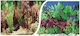 Happet Aquarium Decoration Poster