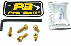 Pro Bolt Motorcycle Bolts TKA243G