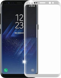 Samsung Tempered Glass (Galaxy S8+)