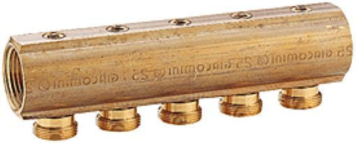 Giacomini Colector - Colector Țeavă Alamă R585Y004