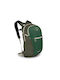 Osprey Daylite Plus Men's Backpack Green