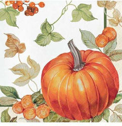 Napkins Orange Napkins Orange