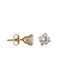 Earrings made of Gold 14K