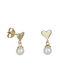 Earrings made of Gold 14K