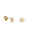 Earrings made of Gold 14K