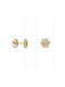 Earrings made of Gold 14K