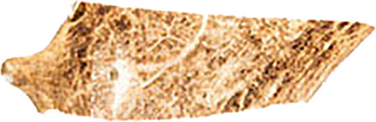 Horn für Welpen aus Hirsche 70gr