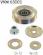 SKF Car Alternator Tensioner Bearing for Honda Civic