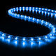 Christmas Light Tube Red 24V 50m IP65