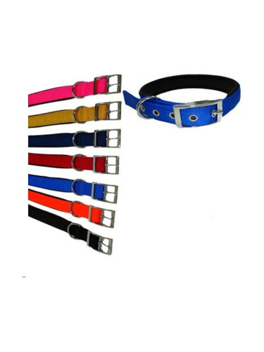 Pet Camelot Dog Collar