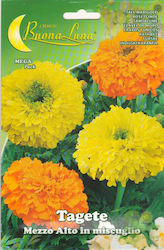 Primasem Miscuglio Seeds Calendulaς 0.9gr