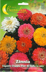 Primasem Seeds Zinnia 0.6gr