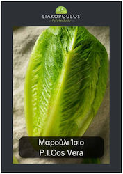 Liakopoulos Fytotechniki Seeds Lettuce