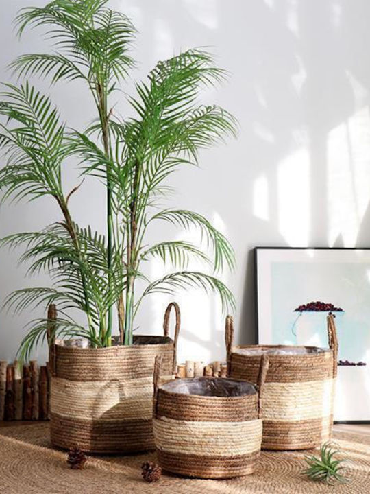 Decorative Basket Wicker with Handles Next