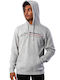 Sweatshirt mit Kapuze Grau