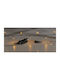 1000 Lights LED 50m. Warm White in String