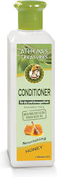 Pharmaid Conditioner 250ml Pharmaid Conditioner 250ml