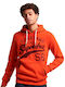 Ovin Athletic Script Graphic Sweatshirt mit Kapuze Orange