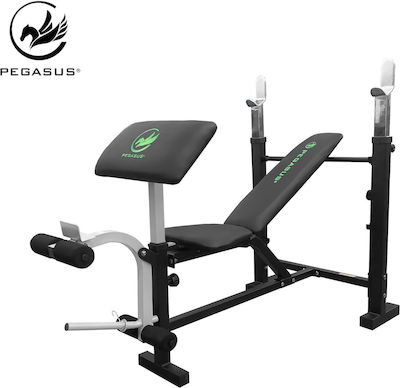 Pegasus W-359 Incline Biceps Workout Bench with Stands