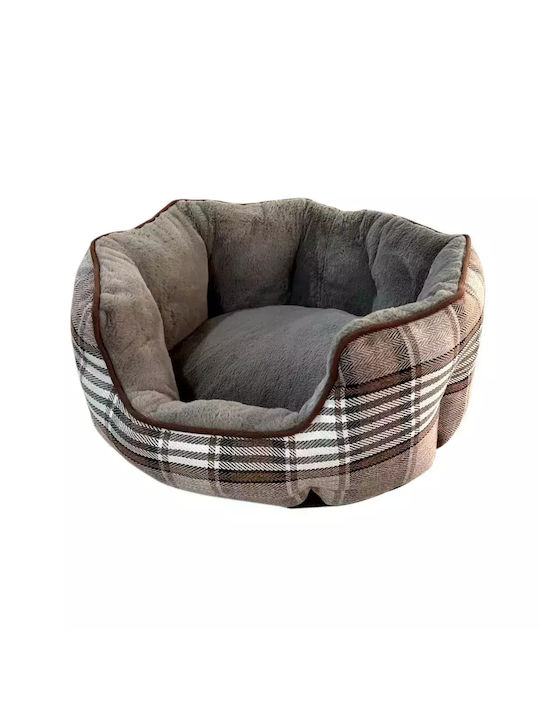 Nest Dog Brown